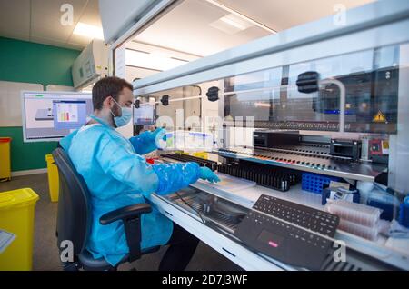 Patientenproben werden von Wissenschaftlern in Platten übertragen, bevor sie in das PCR-Verfahren (Polymerase Chain Reaction) für Covid-19-Tests in der Glasgow Lighthouse-Coronavirus-Testanlage gelangen. Stockfoto