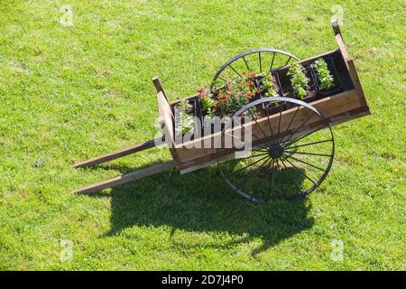 Vintage Holzwagen mit Blumentöpfen steht auf grünem Gras Am Sommertag Stockfoto