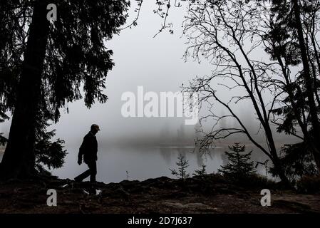 23. Oktober 2020, Niedersachsen, Oderbrück: Ein Wanderer spaziert im Nebel am oder-Teich entlang. Foto: Swen Pförtner/dpa Stockfoto