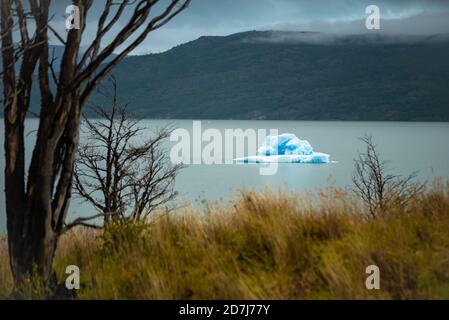 Eisberg von Glacier Grey schwimmend im Lago Grey in Torres Del Paine Nationalpark Stockfoto