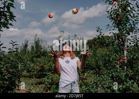 Mittlere Erwachsene Frau, die Äpfel in die Luft wirft, während sie mitten steht Bäume am Obstgarten Stockfoto