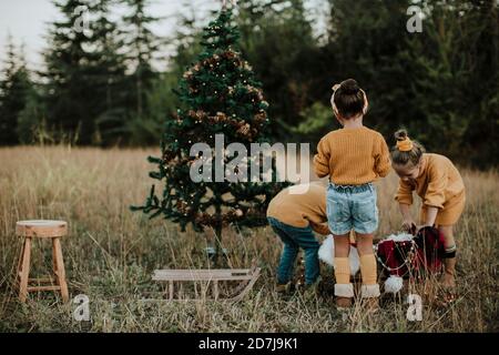 Geschwister mit Weihnachtsschmuck auf grasbewachsenem Land auf dem Land Stockfoto