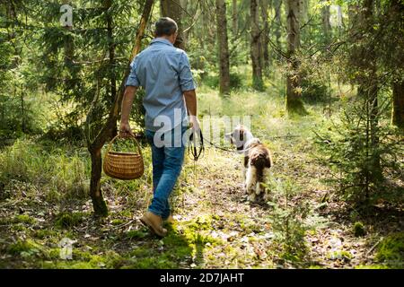 Reifer Mann mit Hund auf der Suche nach Pilz im Wald Stockfoto