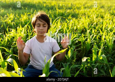 Junge meditiert, während er auf Gras auf der Wiese sitzt Stockfoto