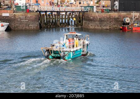 Kleines Fischerboot, das in den Hafen von Arbroath, Arbroath, Angus, Schottland, Großbritannien segelt Stockfoto
