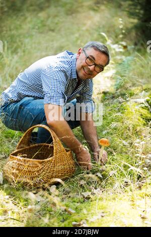 Mann sammelt Pilze im Wald an sonnigen Tag Stockfoto