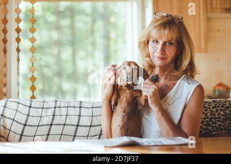 Erwachsene Frau sitzt in einer gemütlichen Küche mit ihrem Dackel Hund Stockfoto