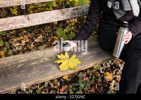 Herbstblatt und Frau sitzen auf Holzbank mit Thermoskanne In Händen Stockfoto