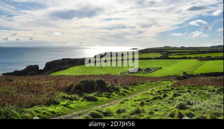 Die Kapelle Ruine von St Non an der Küste in der Nähe von St David's, Pembrokeshire, Wales, Großbritannien Stockfoto