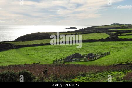 Die Kapelle Ruine von St Non an der Küste in der Nähe von St David's, Pembrokeshire, Wales, Großbritannien Stockfoto