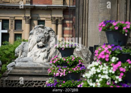 Statue eines Löwen am Eingang zum Rathaus von Leeds im Zentrum der Stadt Leeds, West Yorkshire, England. Stockfoto