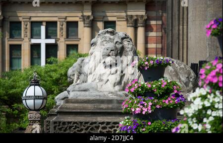 Statue eines Löwen am Eingang zum Rathaus von Leeds im Zentrum der Stadt Leeds, West Yorkshire, England. Stockfoto