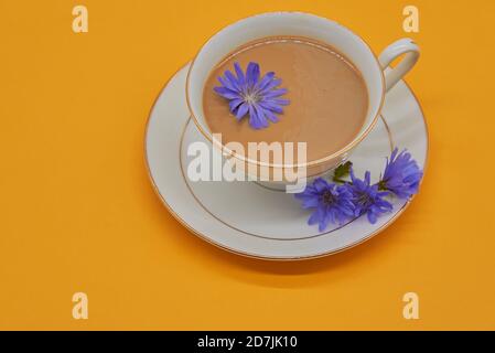 Eine Tasse Getränk steht auf einer Untertasse auf gelbem Hintergrund, daneben liegen mehrere Zichorien-Blüten. Stockfoto