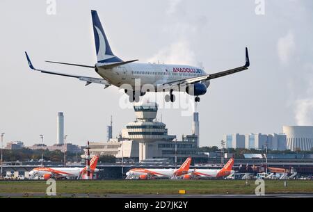 Berlin, Deutschland. Oktober 2020. Ein Flugzeug der Fluggesellschaft Anadolujet landet am Flughafen Tegel. Der Berliner Innenstadtflughafen Tegel (TXL) soll nach der Eröffnung des neuen Flughafens Berlin Brandenburg (BER) Anfang November geschlossen werden. Quelle: Bernd von Jutrczenka/dpa/Alamy Live News Stockfoto