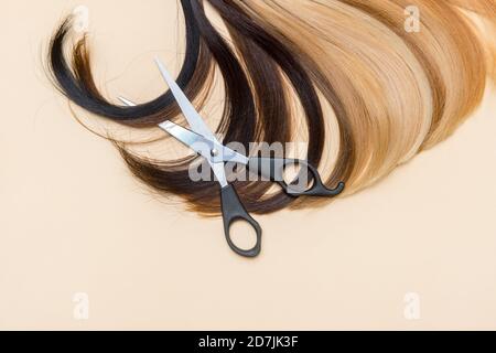 Friseurzubehör Schere und eine Haarsträhne. Friseur Stockfoto