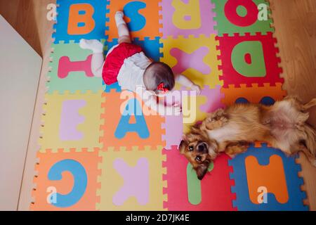 Baby-Mädchen mit Hund liegt auf bunten Puzzle-Spielmatte Zu Hause Stockfoto