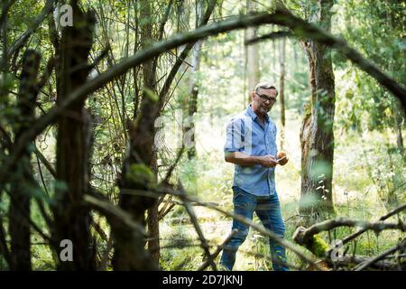 Reifer Mann steht mit Pilz im Wald an sonnigen Tag Stockfoto