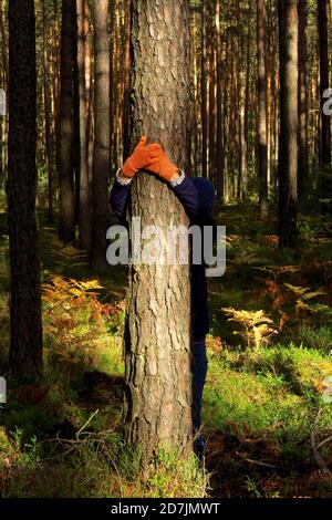 Frau mit umarmenden Baumstamm im Wald im Herbst Stockfoto