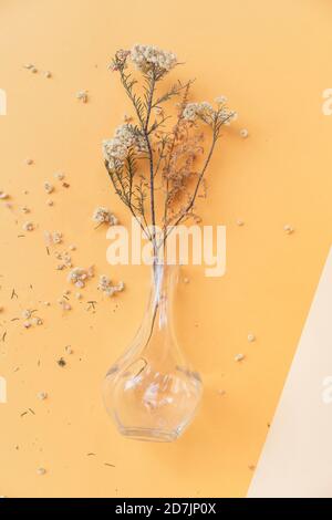 Glasvase mit verstreuten trockenen Blumenblättern auf farbigem Hintergrund Stockfoto