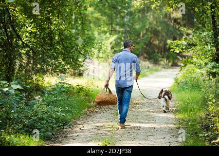 Reifer Mann hält Korb mit Pilz, während mit Hund zu Fuß Im Wald Stockfoto