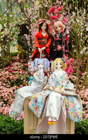 Japanische Anime-Puppe in Kimono- und Dienstmädchen-Kostümen mit Sakura im Hintergrund Stockfoto