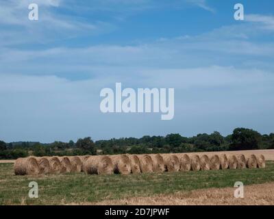 Eine saubere Reihe von runden Heuballen auf einem hellen Sommer Tag eine ordentliche Reihe von runden Heuballen auf Ein heller Sommertag Stockfoto