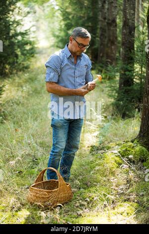 Reifer Mann, der Pilze ansieht, während er im Wald steht Stockfoto