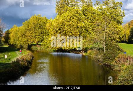 Ein Hundespaziergänger wird gesehen, wie er auf einem Fußweg am Fluss Itchen in Winchester, Hampshire England, spazieren geht. Goldenes Licht am späten Nachmittag beleuchtet die Bäume. Stockfoto