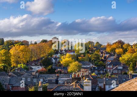 Eine Herbstszene am späten Nachmittag, als goldenes Licht über Bäumen und Gebäuden im Fulflood-Gebiet von Winchester, Hampshire, England, leuchtet. Stockfoto