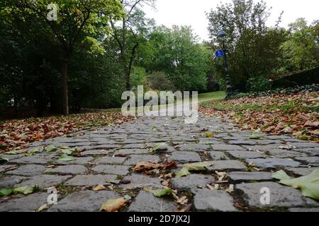Pflastersteinstraße im Park im Herbst mit bunten Blättern Auf dem Boden und grüne Bäume im Hintergrund Stockfoto