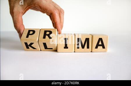 Würfel bilden die deutschen Wörter 'Prima Klima', die mit 'schönes Klima' übersetzt werden können. Schöner weißer Hintergrund, Kopierbereich. Stockfoto