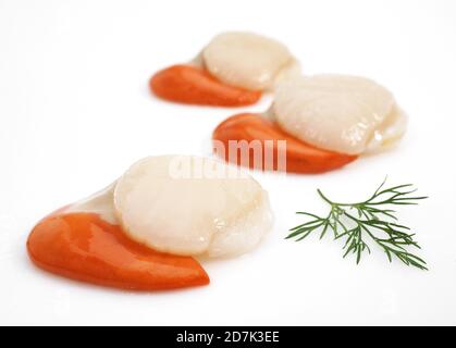 FRISCHE Jakobsmuscheln Pecten Maximus mit DILL Stockfoto