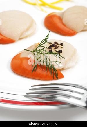 FRISCHE Jakobsmuscheln Pecten Maximus mit DILL Stockfoto