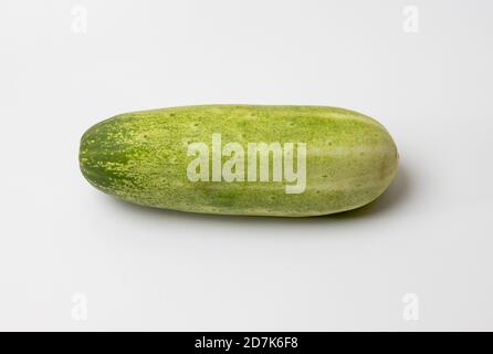 Grüne ganze Gurke auf weißem Hintergrund Stockfoto