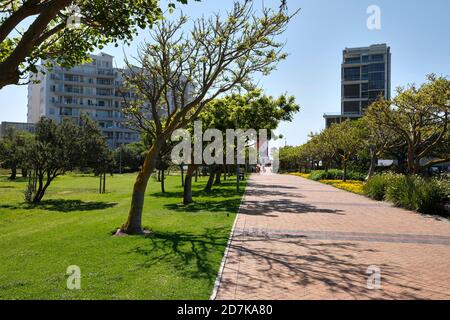 Der Biodiversitätsgarten und Erholungsraum im Green Point Park in Kapstadt, Südafrika. Stockfoto