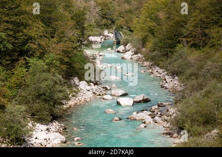 Smaragdgrüner Soca-Fluss, der seinen Weg durch felsigen Wald findet In Slowenien Stockfoto