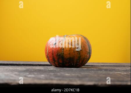 Niedriger Winkel Ansicht von Squash Kürbis auf rustikalem Holzschreibtisch auf gelbem Hintergrund. Stockfoto
