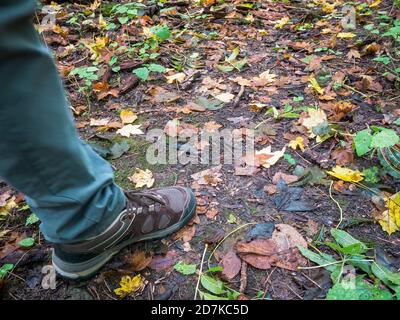 Das Bein des Mannes, der auf dem Boden läuft, bedeckt mit gelben und farbigen Blättern. Stockfoto