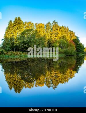 Herbstlandschaft. Bäume reflektieren auf ruhigem blauem Wasser. Farbenfrohe Wälder spiegeln sich im See. Insel. Blauer Hintergrund. Grünes Laub im Morgenlicht. Stockfoto