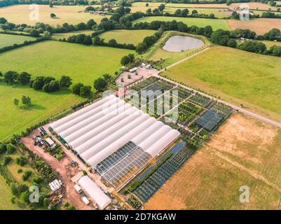 Architectural Plants ist eine Baumschule in Pulborough, West Sussex, England, Großbritannien. Es liegt auf 32 Hektar freiem Feld und ist umgeben von Ackerland mit Blick auf die Stadt Stockfoto