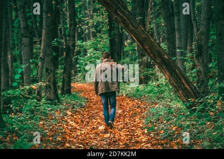 Der Mensch wird ein Video von schönen Orten im Herbstwald mit einem Handy-Stabilisator schießen. Schöner Herbstwald Stockfoto