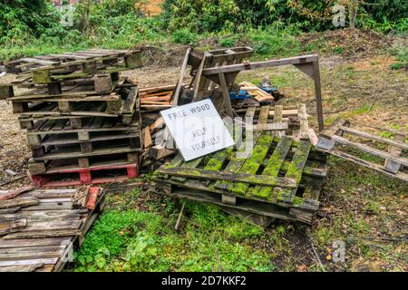 Ein Stapel alter, zerbrochener Paletten wird verschenkt. Stockfoto