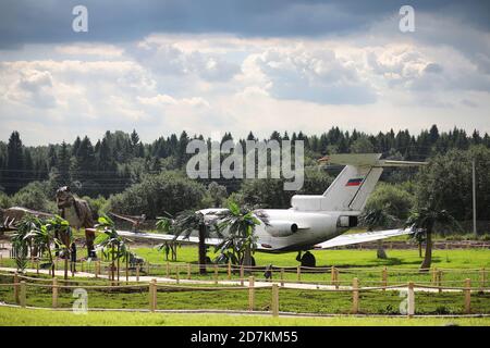 Flugzeug im Dschungel. Das Flugzeug landete in der dichten Vegetation der Palmen. Reise zur Insel im Dschungel. Stockfoto
