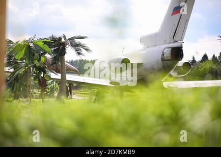 Flugzeug im Dschungel. Das Flugzeug landete in der dichten Vegetation der Palmen. Reise zur Insel im Dschungel. Stockfoto