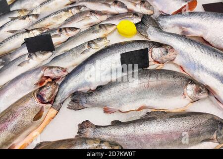Frische Fischforelle, Seebarsch zum Verkauf liegt auf Eis in einem Geschäft. Stockfoto