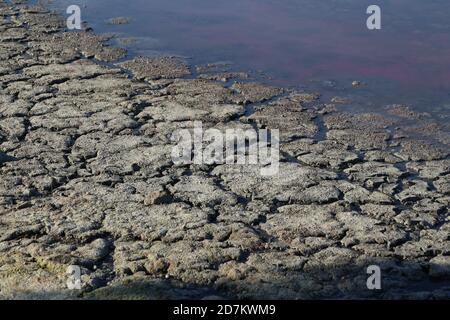 Gerissene Schlamm Küste des Salzes ein See Stockfoto