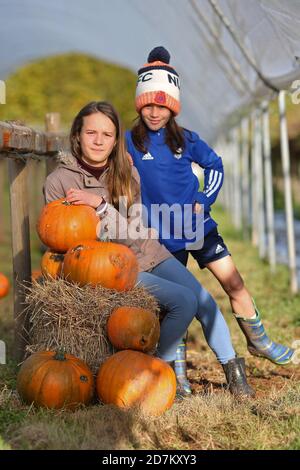 Eine junge Familie sammelt Kürbisse für Halloween in den Brecon Beacons, Wales. ©PRWPhotography Stockfoto