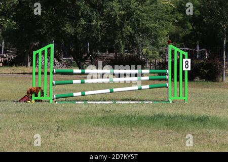 Buntes Bild von Springpfosten in einer Open-Air-Springarena. Hindernisse Pole Barrieren für springende Pferde als Hintergrund Stockfoto