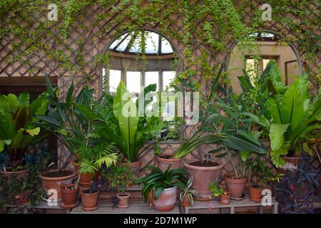 Somerset Wintergarten empfangen volle Sonnenlicht mit großen Fenstern das Beste Pflanzen für sie sind heimisch in heißen feuchten Klimazonen, die Wintergärten replizieren Stockfoto