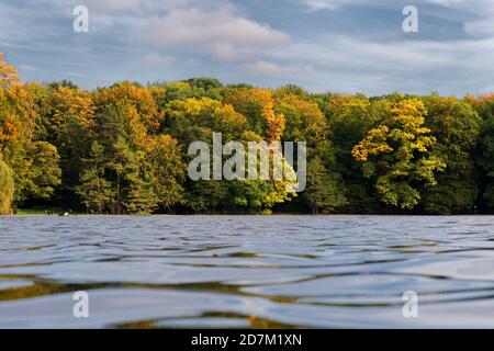 Blick über den adenauer See auf den herbstlichen Stadtwald Von köln junkersdorf Stockfoto